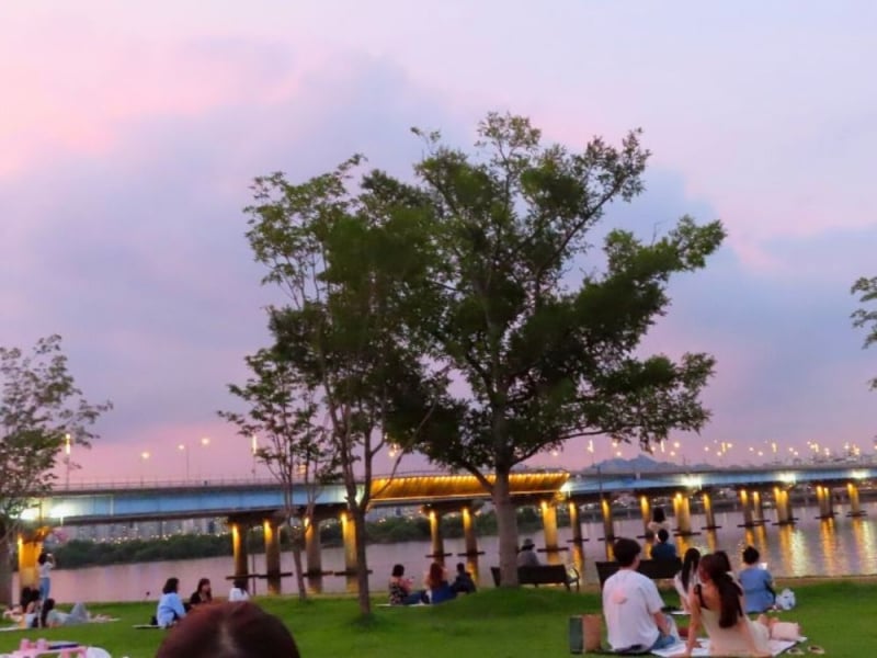 han river picnic, yeouido hangang park, sunset, pink sky