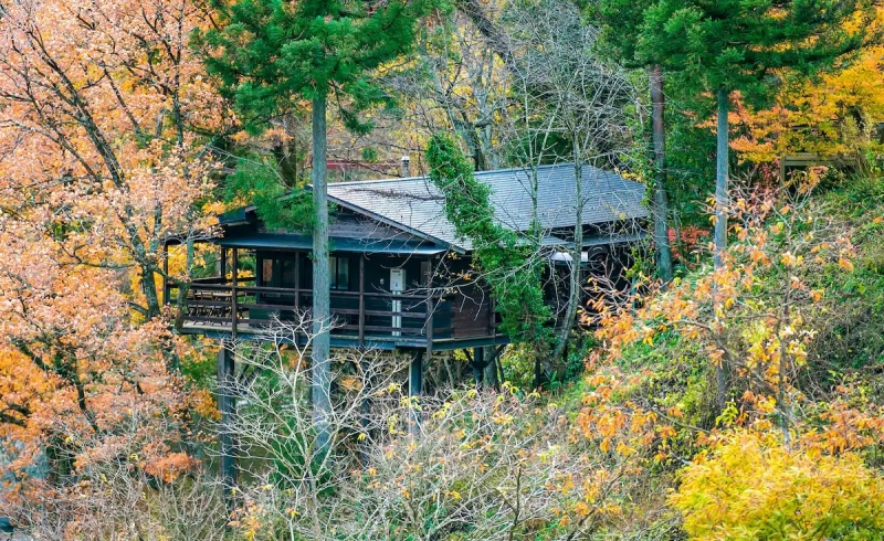 best airbnb fall foliage