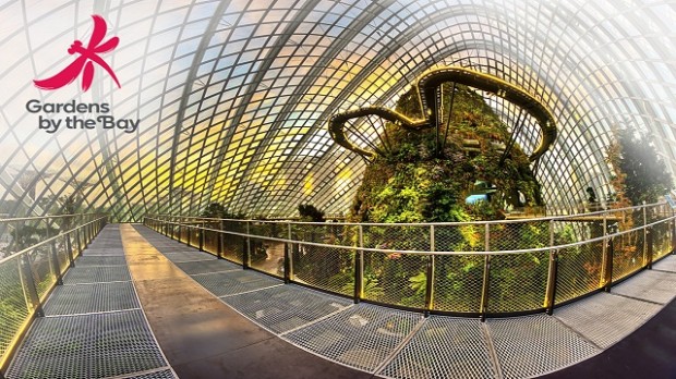 Get 10% off Local Admission Rates in Gardens by the Bay as NTUC Member