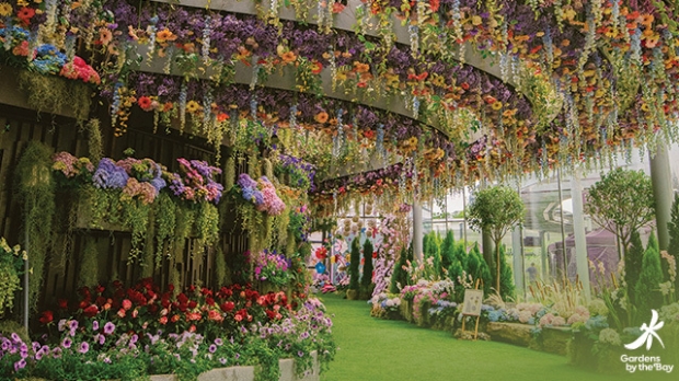 20% OFF Singapore Resident Admission Rates in Gardens by the Bay with NTUC Card
