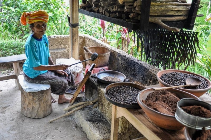 things to do in ubud: coffee plantation