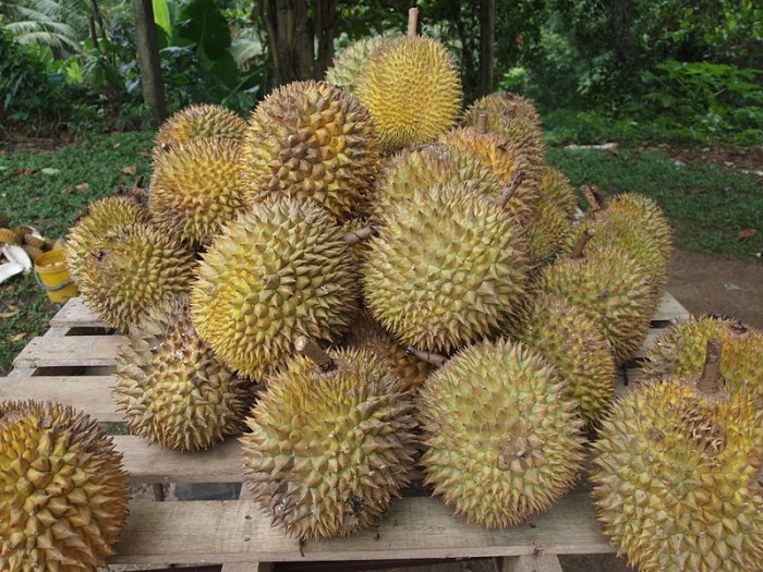 durians