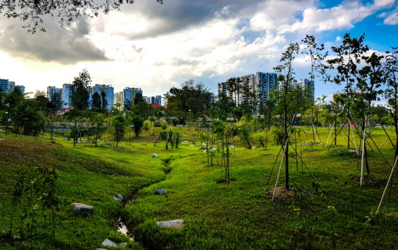 jurong lake gardens is one of the best singapore hiking trails