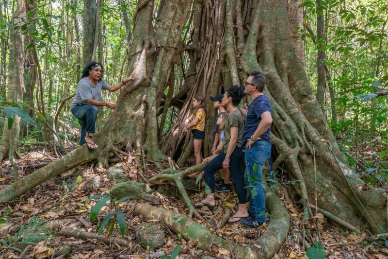 a tour group in Daintree Rainforest