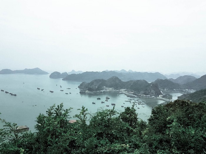 things to do in cat ba