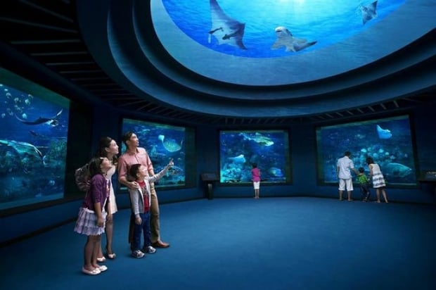 Mastercard® Exclusive: S.E.A. Aquarium Adult One-Day Tickets at S$28 (Min. 2 to go)