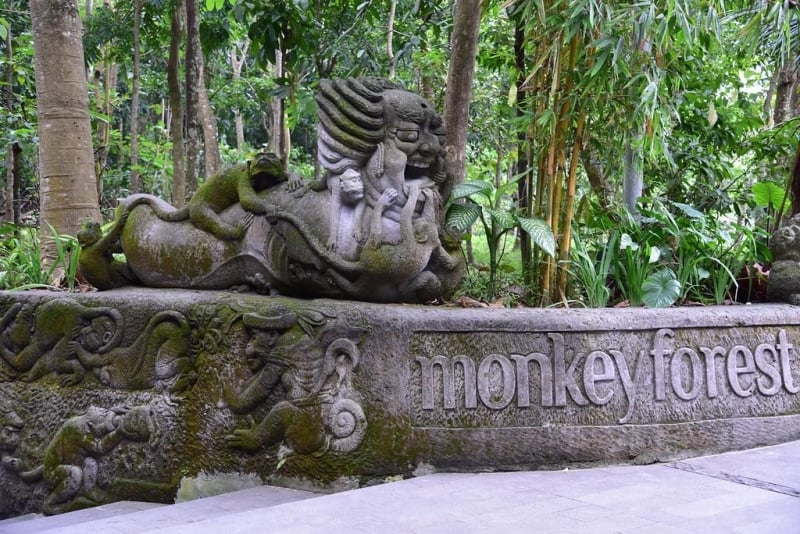 things to do in ubud: monkey forest