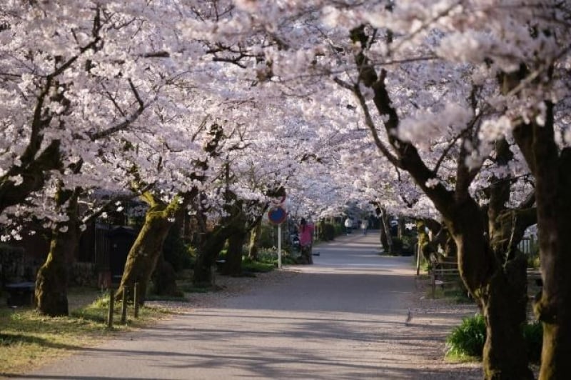 tourist attractions in Fukuoka for heritage