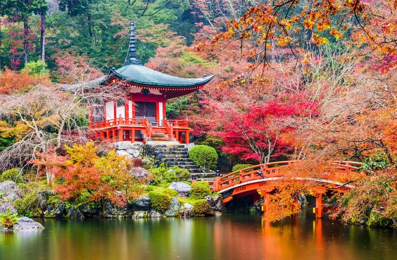 japan autumn leaves forecast 2023