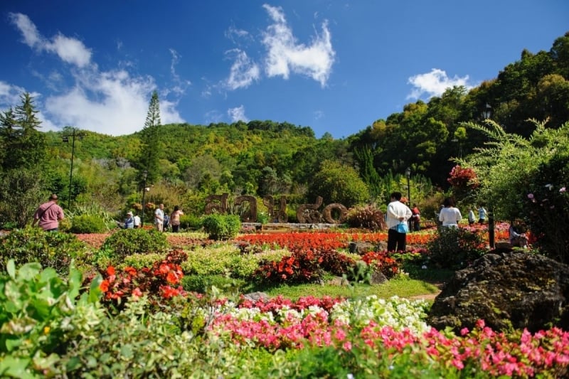 doi ang khang