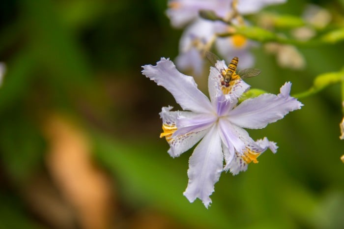 National Botanical Garden