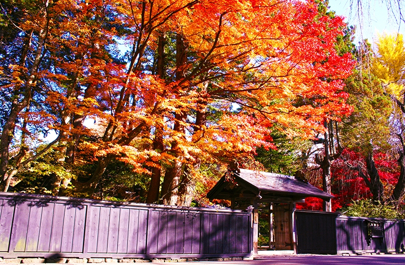 Kakunodate Samurai Residences