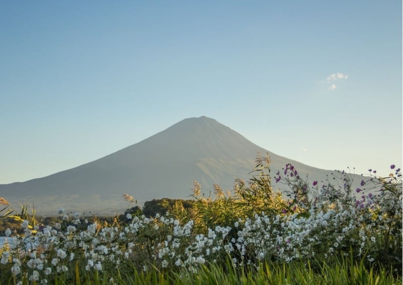 mount fuji snowless