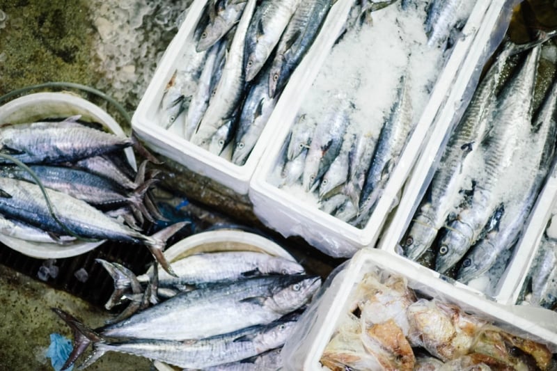 Tsukiji Fish Market 