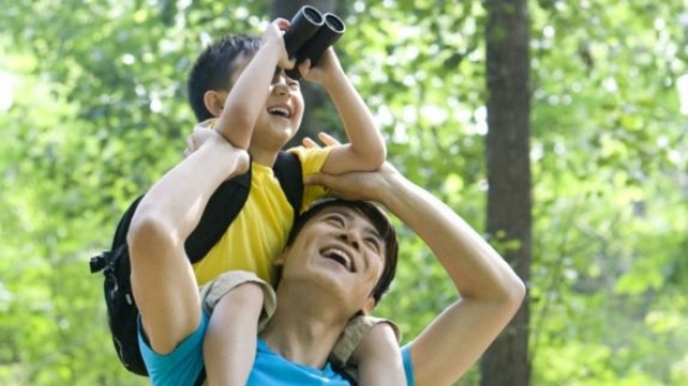 Early Bird Promo: 14 days, 25% OFF in Four Points by Sheraton Sandakan