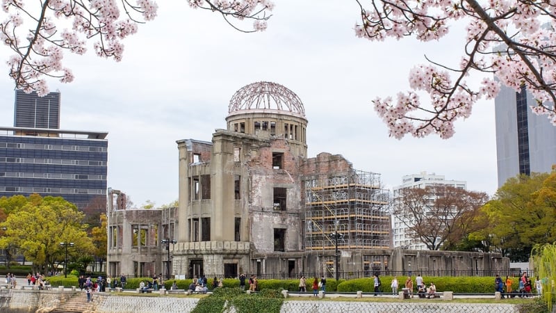 cherry blossom in hiroshima