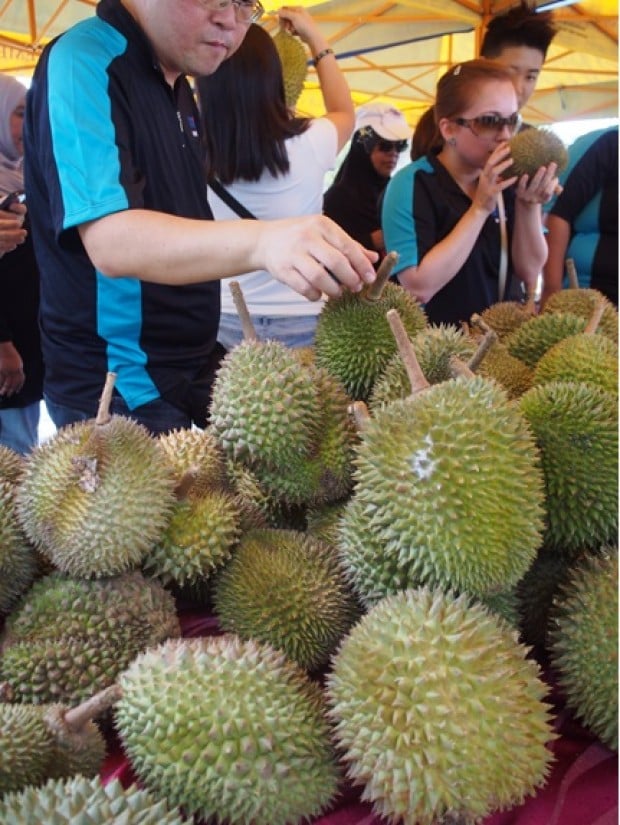 Trang trại Nhiệt đới Melaka