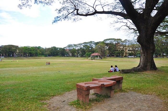 UP Sunken Garden