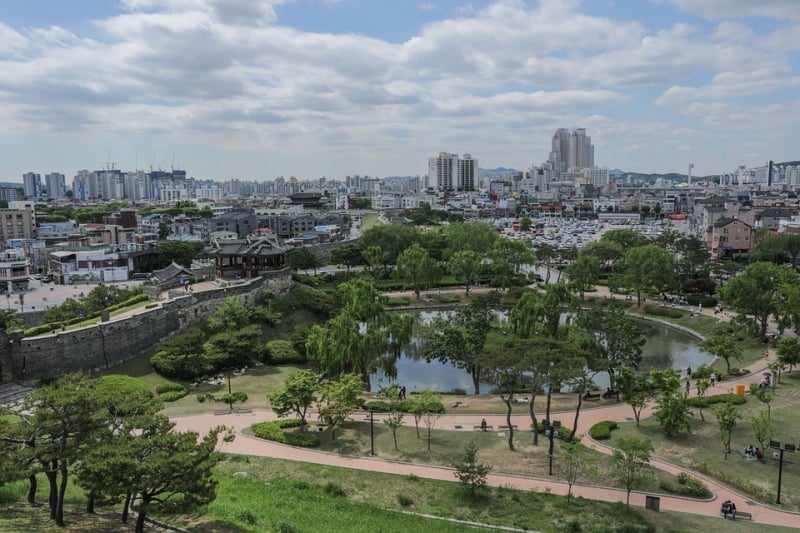 things to do in suwon