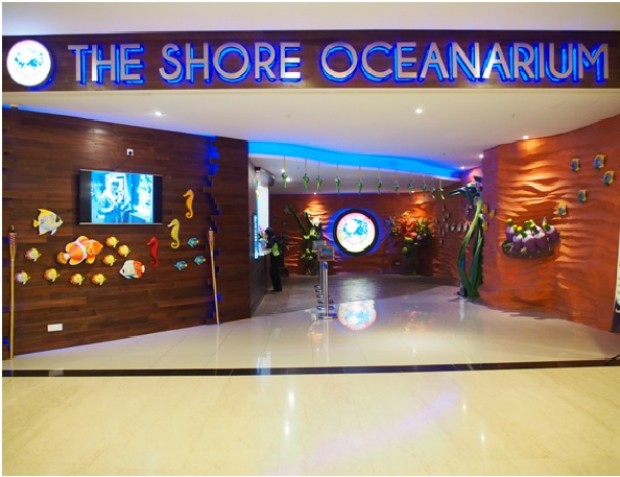 The Shore Oceanarium