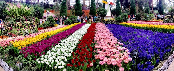 Gardens By the Bay