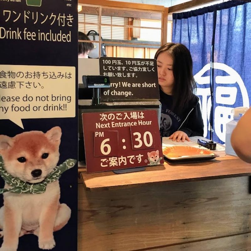 mame shiba cafe