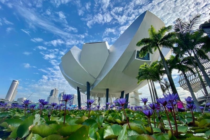 Artscience art museum of singapore