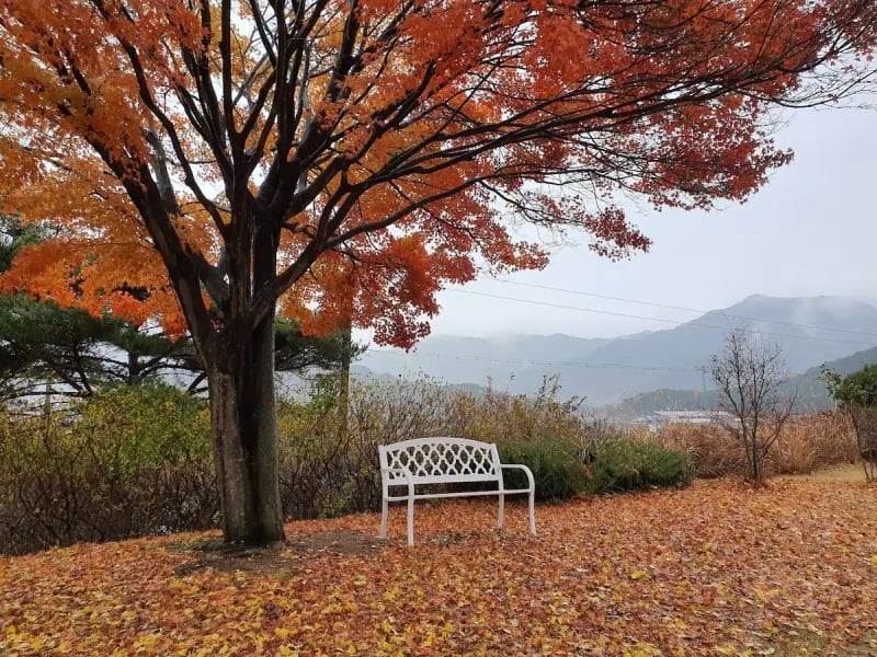 best fall foliage airbnb