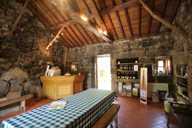 farm stays Airbnb stays in Porto