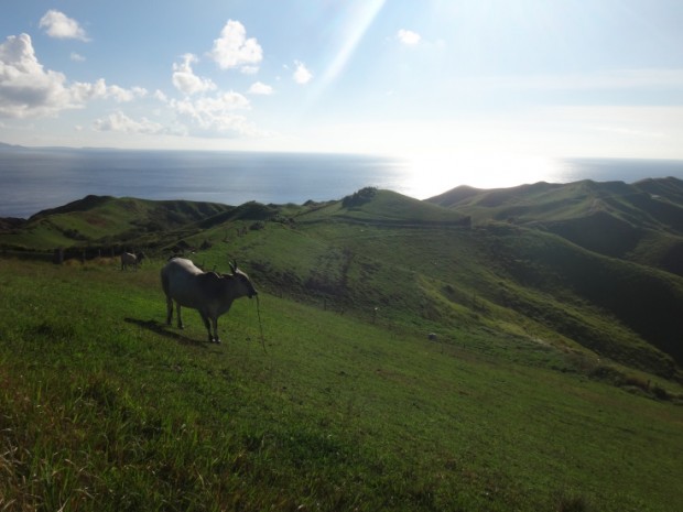 batanes solo travel