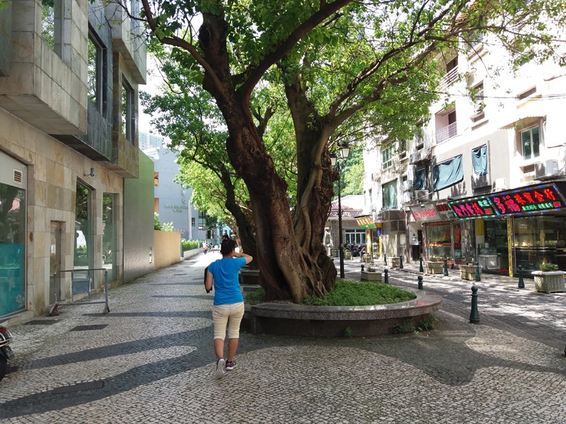 one of the free things to do in macau is walking around