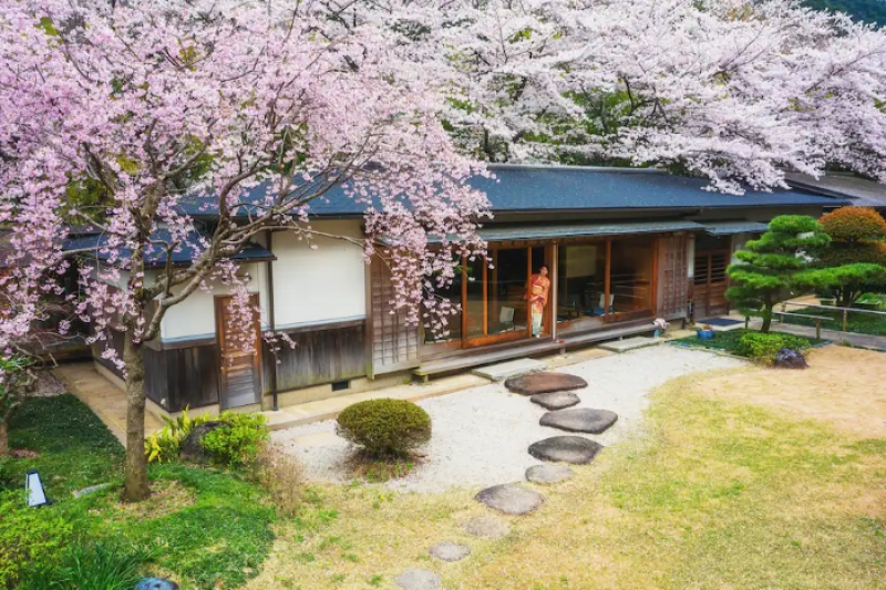 scenic airbnb cherry blossom with zen garden