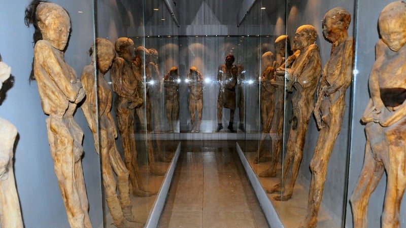 guanajuato mummy museum