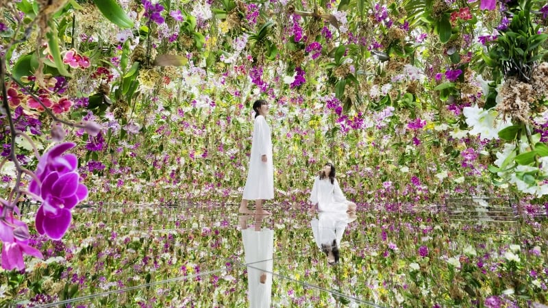 teamlab planets tokyo