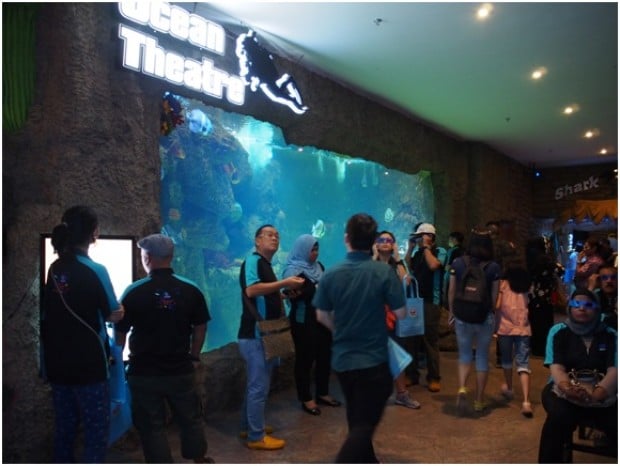 The Shore Oceanarium