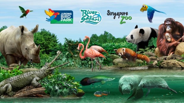 Enjoy 40% Off Admission Tickets to Wildlife Reserves Singapore with NTUC Card