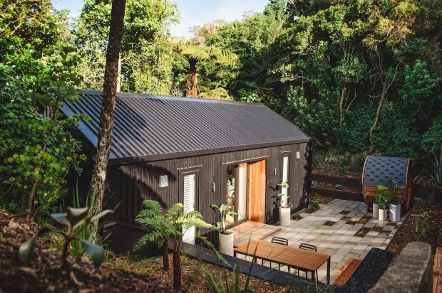 Airbnbs in Wellington, New Zealand