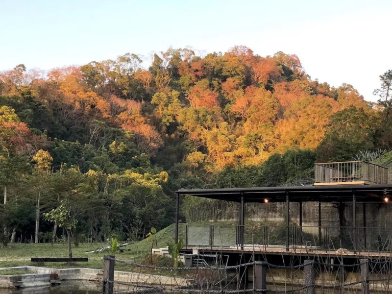 best airbnb fall foliage