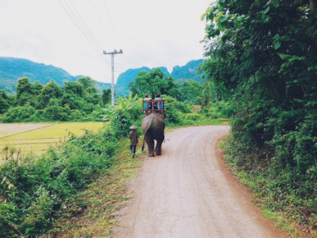 Lý do nên du lịch Luang Prabang