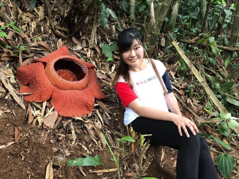 jungle trekking cameron highlands