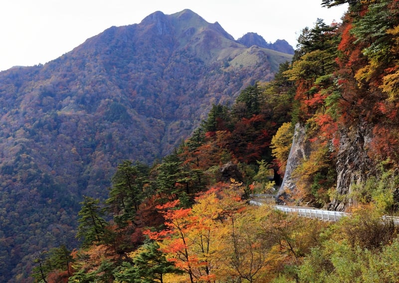japan fall foliage 2023