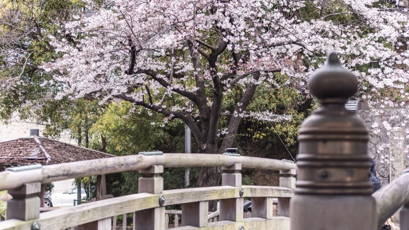 asukayama park