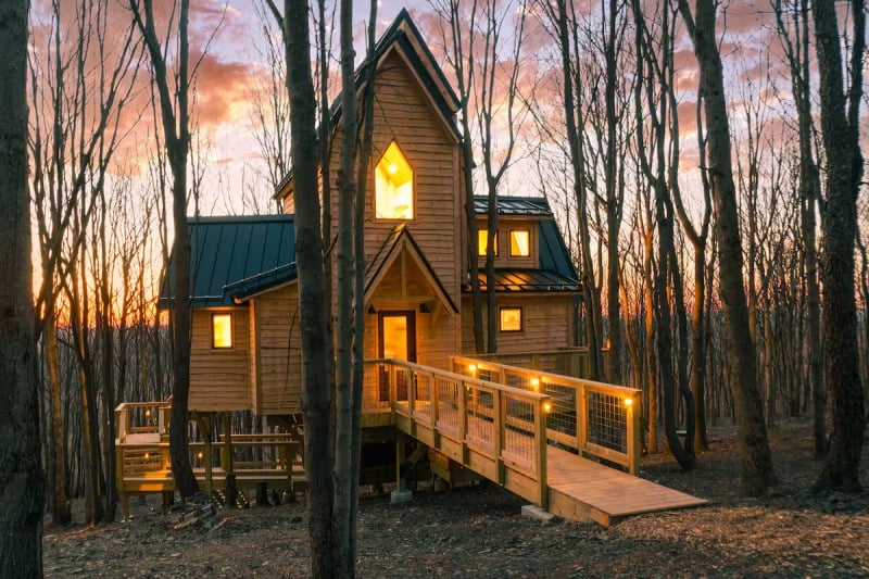 Treehouse Airbnb United States 