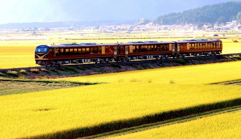 resort minori joyful train passing through rice field