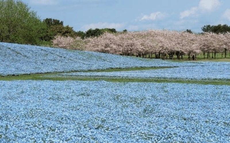 breathtaking fukuoka tourist spots