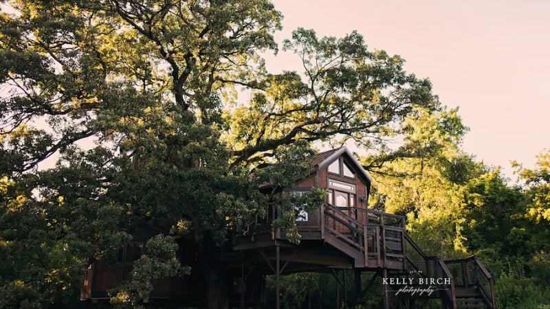 treehouse airbnbs