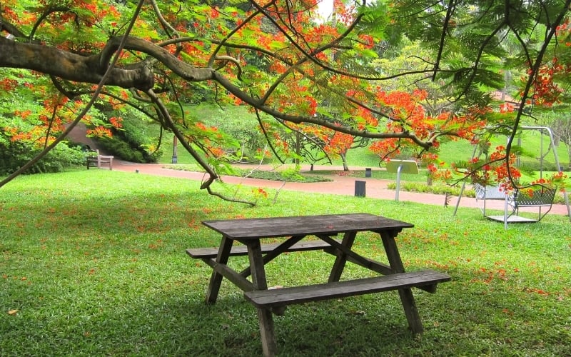  picnic places in singapore