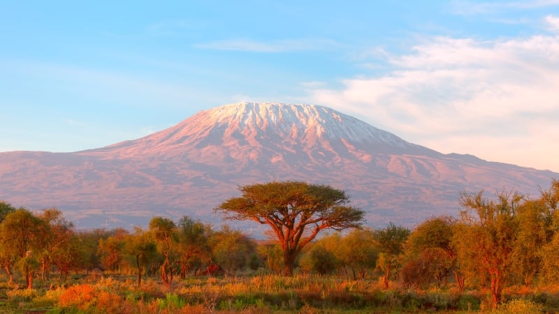 kilimanjaro