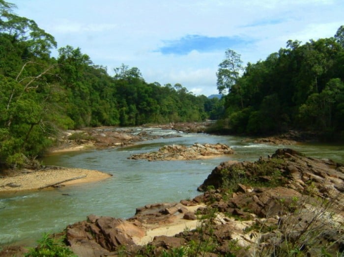 Endau-Rompin National Park