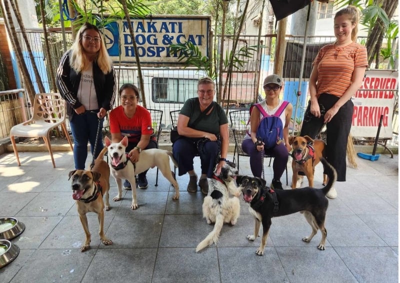 Volunteers and dogs at Makati Dog and Cat Hospital
